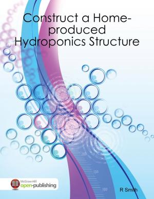 Cover of the book Construct a Home-produced Hydroponics Structure by Israel Moor-X Bey El