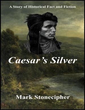 Cover of the book Caesar's Silver by Francesca Jolie