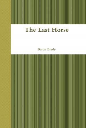 Book cover of The Last Horse