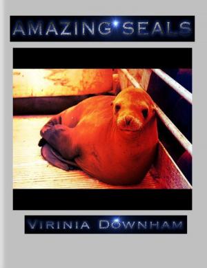 Cover of the book Amazing Seals by Michael C Holdsworth