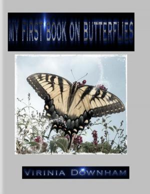 Cover of the book My First Book on Butterflies by Dave Lemay