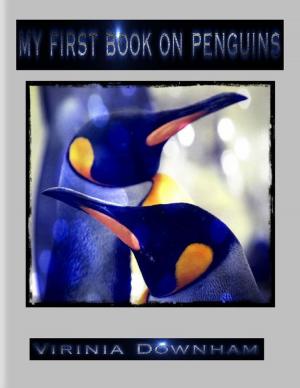 Cover of the book My First Book on Penguins by Wayne Kessinger