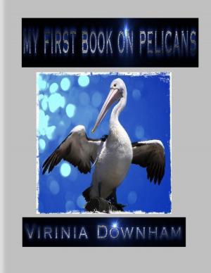 Cover of the book My First Book on Pelicans by Seyhan Seydali