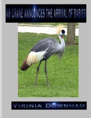 bigCover of the book Mr Crane Announces the Arrival of Babies by 