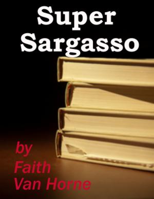 Cover of the book Super Sargasso by Melanie McCurdie