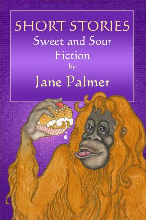 Cover of the book Short Stories, Sweet and Sour Fiction by Joe Cotter