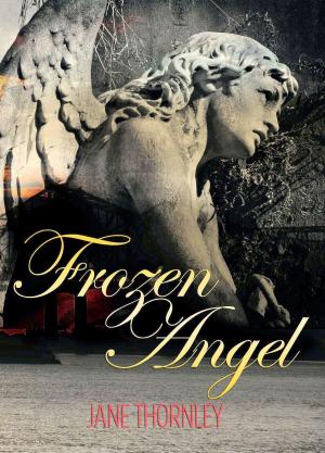 Cover of the book Frozen Angel by john g rees