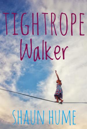 Cover of the book Tightrope Walker by JH Tan