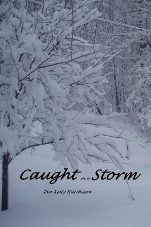 bigCover of the book Caught in a Storm by 