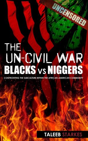 Cover of the book The Un-Civil War: Blacks vs Niggers by David Nollmeyer