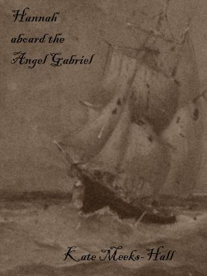 Book cover of Hannah aboard the Angel Gabriel