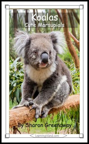 Book cover of Koalas: Cute Marsupials