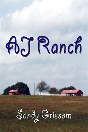 Book cover of AJ Ranch