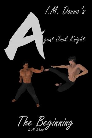 Book cover of Agent Jack Knight: The Beginning