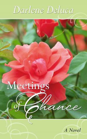 Book cover of Meetings of Chance