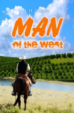 Book cover of Man of the West