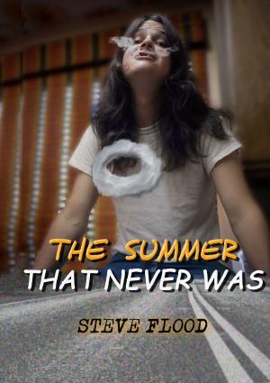 bigCover of the book The Summer That Never Was by 