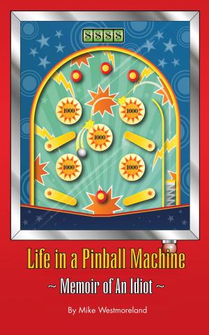 bigCover of the book Life In a Pinball Machine by 
