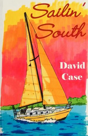 Book cover of Sailin' South