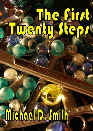 Book cover of The First Twenty Steps