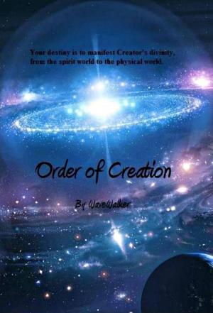 Cover of the book The Order of Creation by Cristi Jenkins