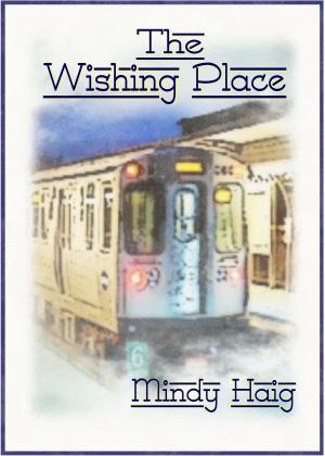 Book cover of The Wishing Place