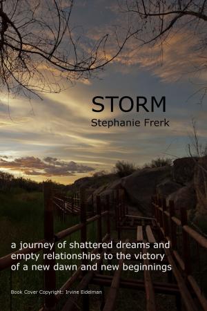 Cover of the book Storm by Kyle McNary