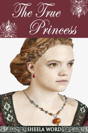 Book cover of The True Princess