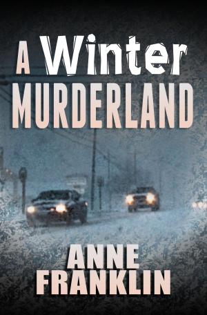 Cover of the book A Winter Murderland by Robbie Kew