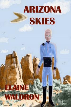 Book cover of Arizona Skies