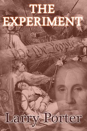 bigCover of the book The Experiment by 
