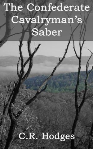 Cover of the book The Confederate Cavalryman's Saber by Edme Vay