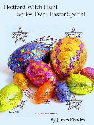 Cover of the book Hettford Witch Hunt: Easter Special by John M. Ford, Michael Jan Friedman
