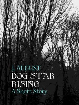 Book cover of Dog Star Rising