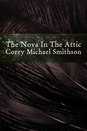 Book cover of The Nova In The Attic