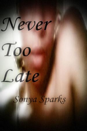 Cover of the book Never Too Late by RA Tidgwell