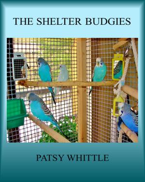 Cover of The Shelter Budgies