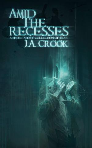 Cover of the book Amid the Recesses: A Short Story Collection of Fear by Robert Ashcroft