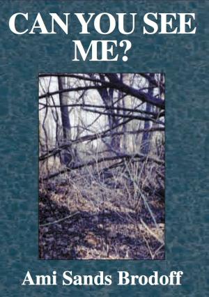Book cover of Can You See Me?