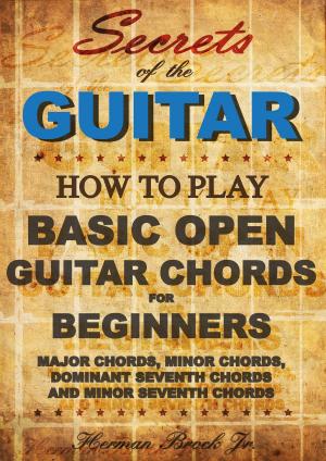 Cover of Guitar Chords: Learn how to play Basic Open Guitar Chords for Beginners - Secrets of the Guitar