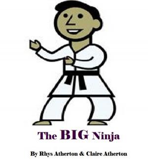 Cover of the book The BIG Ninja by Joel Puga