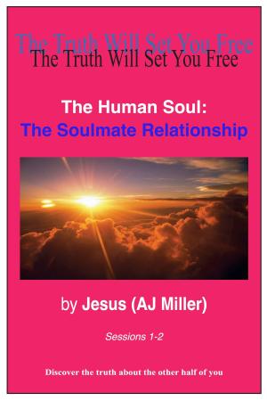 Book cover of The Human Soul: The Soulmate Relationship Sessions 1-2