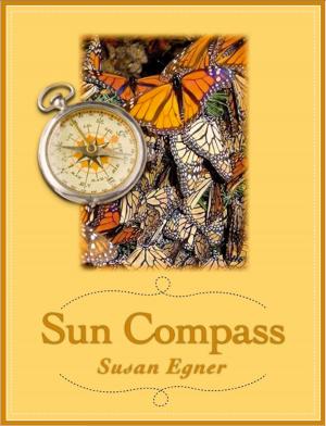 Book cover of Sun Compass