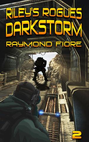 Cover of Riley's Rogues: Darkstorm