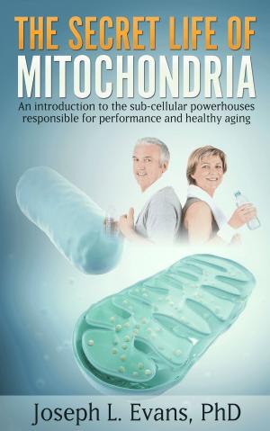 Cover of the book The Secret Life of Mitochondria by Manish Patel