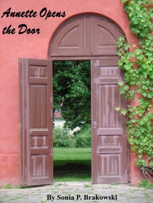 Cover of the book Annette Opens the Door by Il Seduttore