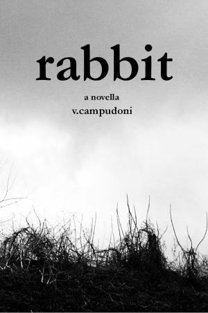 Cover of the book Rabbit by Ken Kaye