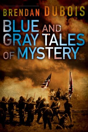 Book cover of Blue and Gray Tales of Mystery