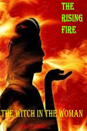 Cover of the book The Rising Fire (The Witch in the Woman Book One) by J.D. Delzer