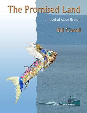 Book cover of The Promised Land: a novel of Cape Breton